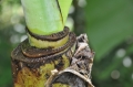 2013-10_CubaActive_B (348)